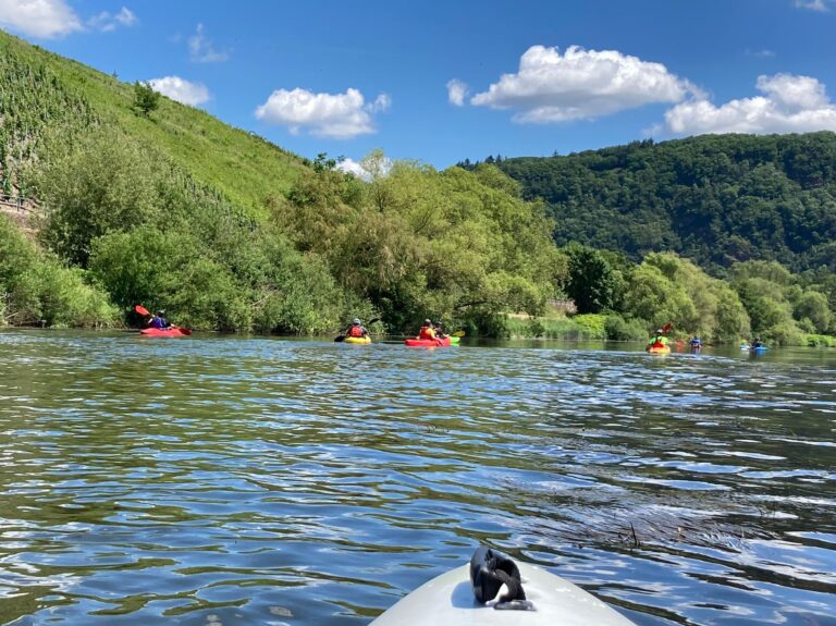 Trierer Kanufahrer laden zur Grünkohlfahrt 2023 ein